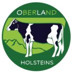 Oberland Holsteins